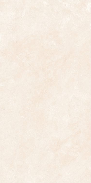 OL Marfil Matte 24 x 48
